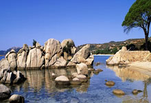 九游官网-亚冠赛场上演惊心动魄的对抗与竞争